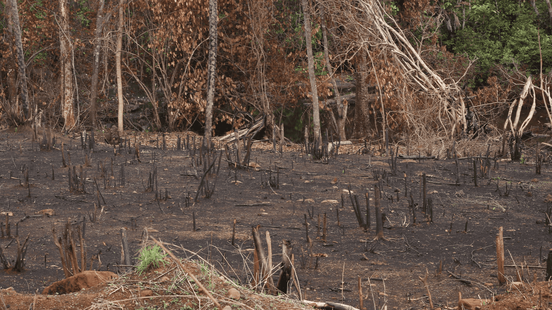 Incendi