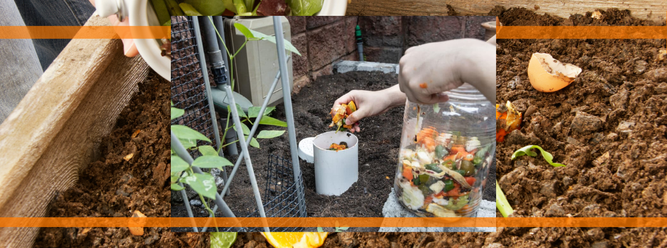Surprising Food Scraps You Didn’t Know You Could Compost