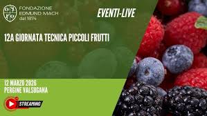 12a Giornata tecnica piccoli frutti